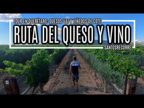 Descubre la Ruta del Queso y Vino: Una Experiencia Gastronómica Única.