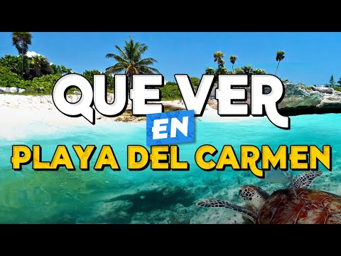 Descubre la belleza de Playa del Carmen: Guía de turismo