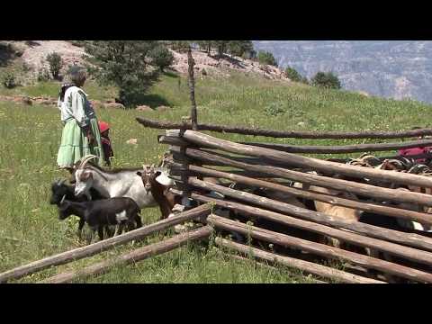 Barrancas del Cobre: Descubre la belleza de la Sierra Tarahumara