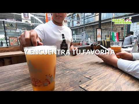 Descubre la mejor ruta de cerveza artesanal en Tequisquiapan