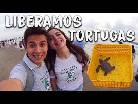 Descubre la magia de El Tajín y Tecolutla