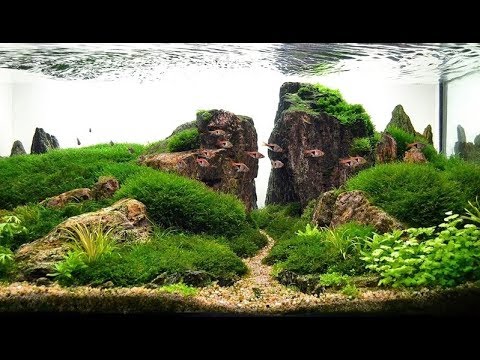 Los mejores outfits para visitar el acuario